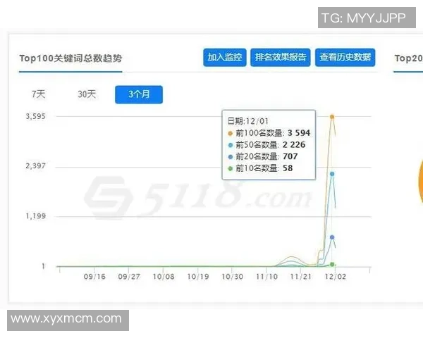 提升uu国际虚拟机性能的优化策略与实践指南